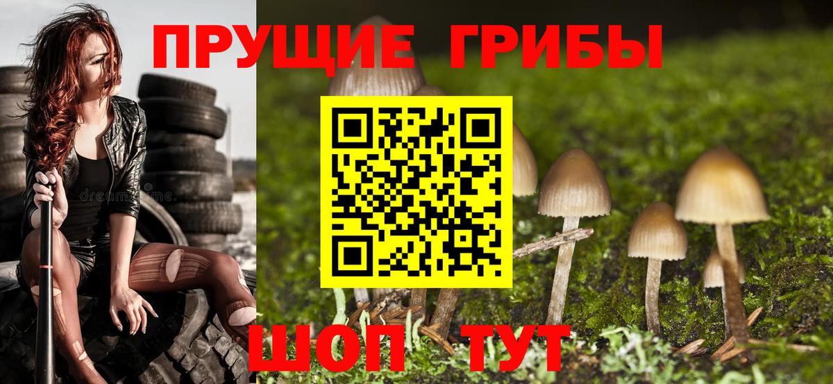 Галлюциногенные грибы прущие грибы Рязань
